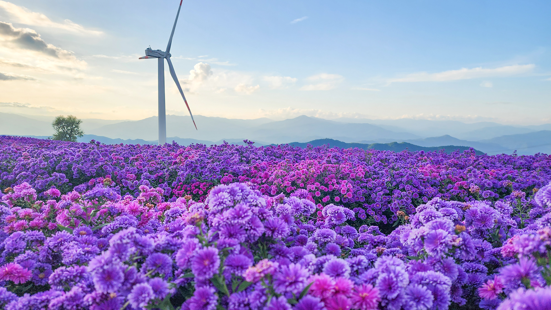 감악산 별바람언덕